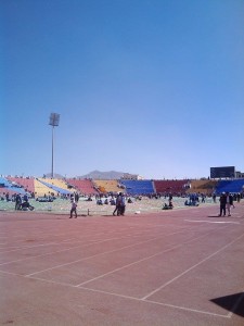 ضيوف المولد2