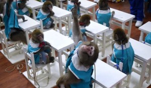 13941112000436_PhotoI