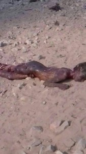 received_1520867008220337