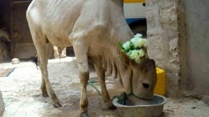 received_1520931004880604