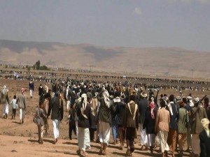 12980491_276913282640483_1886724636_n