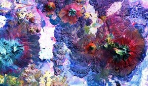 13950118000751_PhotoI