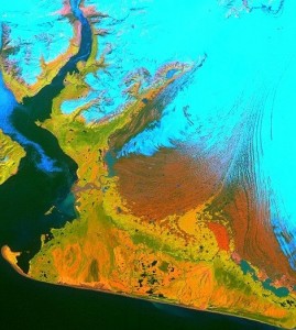 57039747c461880e738b45a4