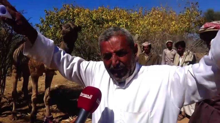 %d8%a3%d9%86%d9%81%d8%ac%d8%a7%d8%b1-%d8%a7%d9%84%d9%82%d9%86%d8%a7%d8%a8%d9%84-%d8%a7%d9%84%d8%b9%d9%86%d9%82%d9%88%d8%af%d9%8a%d8%a9-%d9%8a%d9%8f%d9%87%d8%af%d8%af-%d8%ad%d9%8a%d8%a7%d8%a9-%d8%a7