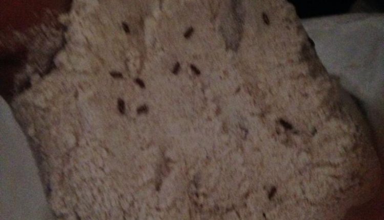IMG-20190501-WA0012