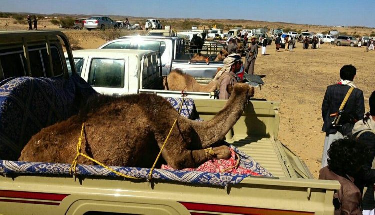 قافلة غذائية ومالية دعما واسنادا للمرابطين في الجبهات8