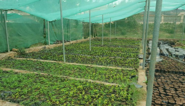 بحضور وزير الزراعة.. إجتماع يناقش التنمية الزراعية بالمحويت.. 1