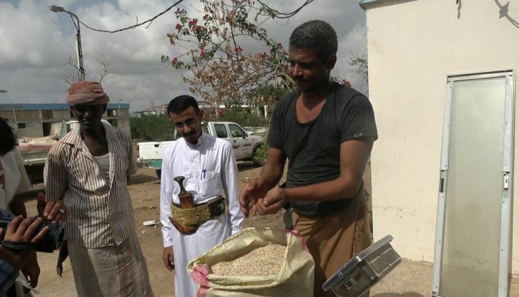 المؤسسة العامة لتنمية وإنتاج الحبوب تدشن موسم حصاد الذرة في تهامة2