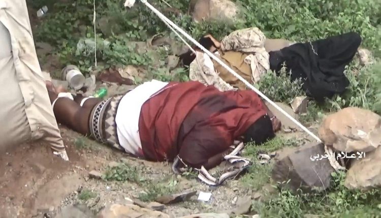 photo_٢٠٢٠-٠٨-٢١_١٥-٤٥-٤٨ (1)