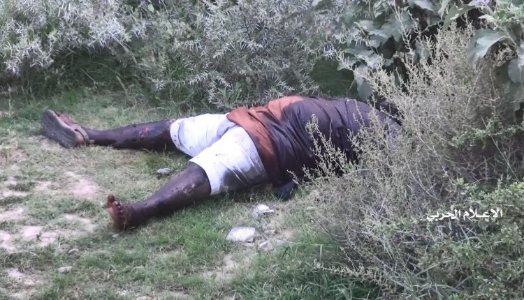 photo_٢٠٢٠-٠٨-٢١_١٥-٤٥-٥٢ (2)